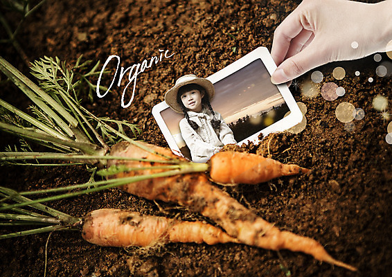 PSD 편집이미지 손 영어 여자 한손 상반신 두명 신체부위 흙 유치원생 당근 한국인 잡기 유기농 기념사진 챙모자 이미지편집 문자 모자_잡화 웰빙 어린이 모션 뿌리채소 사람 동양인 파일형식