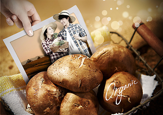 PSD 편집이미지 손 커플 영어 여자 남자 음식 한손 미소 상반신 20대 성인 신체부위 세명 바구니 마주보기 한국인 잡기 농부 유기농 표고버섯 기념사진 이미지편집 직업 문자 웰빙 관계 모션 표정 사람 동양인 청년 버섯 파일형식