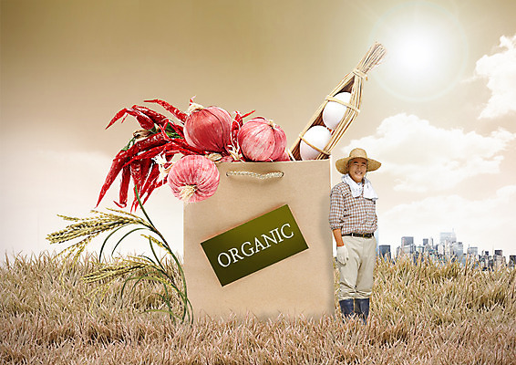 PSD 구름 편집이미지 남자 50대 고추 하늘 마늘 한명 서기 잔디 상반신 성인 햇빛 쇼핑백 계란 한국인 벼 농부 유기농 이미지편집 자연요소 식물 직업 1 웰빙 중년 채소 가방 모션 곡류 사람 동양인 태양 알 파일형식