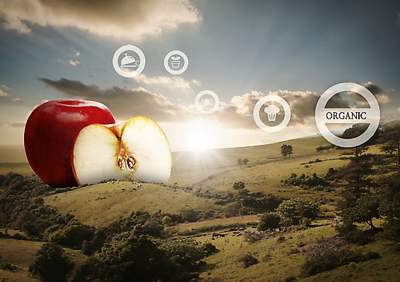 PSD 나무 구름 편집이미지 하늘 단면 초원 사람없음 햇빛 일몰 사과 유기농 이미지편집 자연요소 식물 웰빙 과일 태양 노을 파일형식