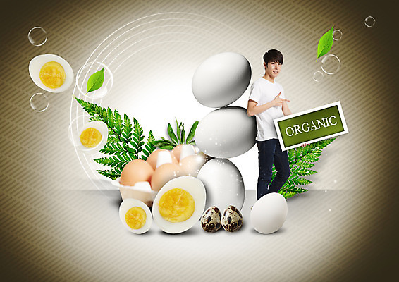 PSD 편집이미지 영어 남자 액자 나뭇잎 한명 서기 미소 들기 상반신 20대 성인 계란 한국인 가리킴 유기농 삶은계란 메추리알 이미지편집 문자 1 웰빙 잎 모션 표정 사람 동양인 손짓 청년 알 계란요리 파일형식