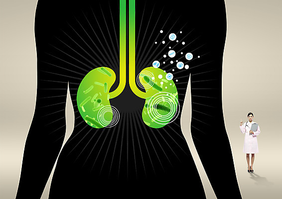 전신 PSD 외국인 편집이미지 여자 실루엣 의학 서기 상반신 20대 성인 두명 앞모습 의사 신장 바이러스 장기 날씬함 이미지편집 뷰포인트 신체 모션 촬영기법 사람 인종 청년 의료진 비뇨기관 몸매 파일형식