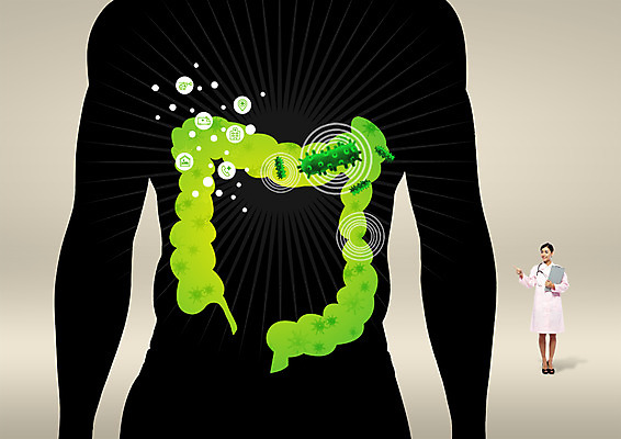 전신 PSD 외국인 편집이미지 여자 실루엣 의학 서기 상반신 20대 성인 두명 앞모습 의사 바이러스 장기 대장 이미지편집 뷰포인트 신체 모션 촬영기법 사람 인종 청년 의료진 장기_의학 파일형식
