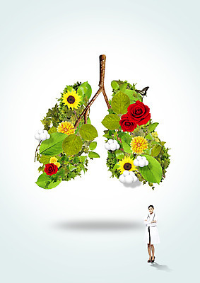 전신 PSD 외국인 편집이미지 여자 꽃 나비 의학 나뭇잎 한명 서기 20대 성인 팔짱 의사 나뭇가지 허파 장기 이미지편집 나무 식물 1 곤충 잎 신체 모션 사람 인종 청년 의료진 호흡기관 파일형식