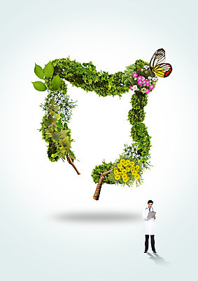 전신 PSD 서양인 편집이미지 남자 꽃 나비 의학 나뭇잎 한명 서기 20대 성인 앞모습 의사 나뭇가지 장기 대장 서류판 이미지편집 외국인 나무 식물 1 뷰포인트 곤충 잎 신체 모션 사람 청년 사무용품 의료진 장기_의학 파일형식