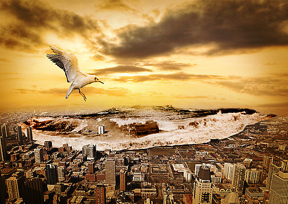 PSD 구름 편집이미지 한마리 파도 조류 하늘 사람없음 비행 도시 홍수 자연재해 이미지편집 자연요소 동물 1 바다 재해 파일형식