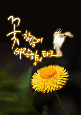 전신 PSD 백인 편집이미지 원피스 여자 꽃 한송이 바람 한명 서기 20대 성인 한글 노란색 스카프 향기 이미지편집 자연요소 서양인 식물 문자 1 옷 컬러 모션 날씨 사람 청년 목도리 냄새 송이 파일형식