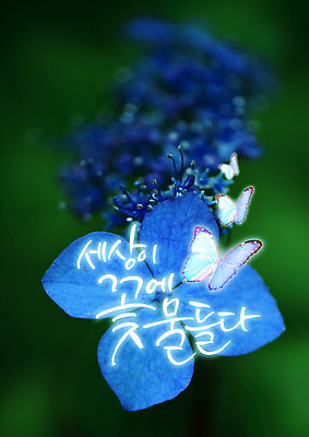 PSD 편집이미지 꽃 나비 한글 사람없음 파란색 세계 개화 이미지편집 식물 문자 컬러 곤충 파일형식