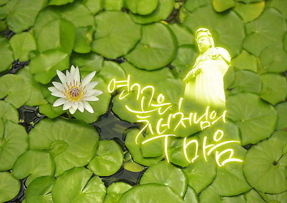 PSD 편집이미지 호수 한송이 연꽃 한글 사람없음 마음 연못 개화 불상 연잎 부처 이미지편집 문자 1 꽃 잎 불교 송이 파일형식