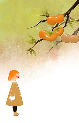 PSD 여자 어린이 일러스트 자연 감 한명 가을 나뭇가지 감나무 국내일러스트 나무 1 계절 과일 사람 생태계 파일형식