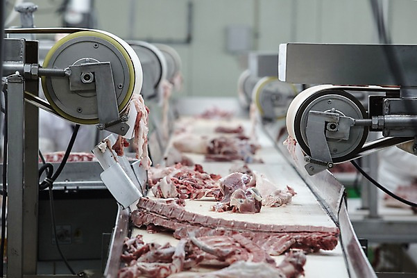 포토 JPG 공장 실내 육류 사람없음 기계 축산자조금연합 신선에너지우리축산 가공장 국내포토 캠페인 식재료 공업 내부 동맹 파일형식