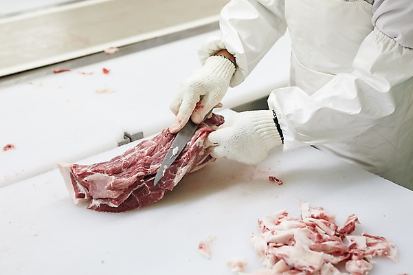 포토 JPG 공장 실내 육류 한명 사람 상반신 성인 식칼 목장갑 축산자조금연합 신선에너지우리축산 가공장 발골 국내포토 1 캠페인 장갑 식재료 공업 주방용품 내부 동맹 파일형식