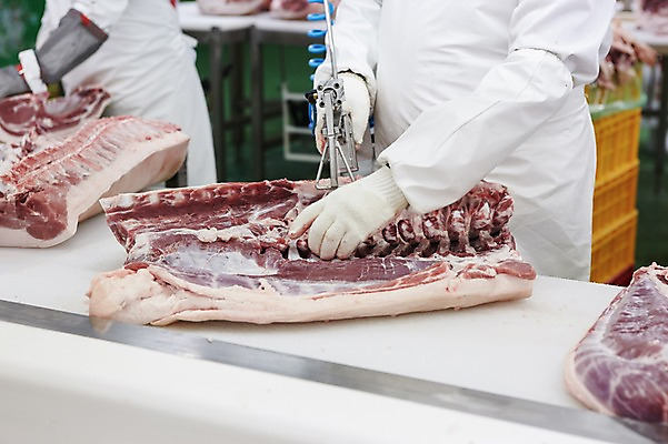 포토 JPG 공장 실내 육류 돼지고기 사람 상반신 성인 두명 도구 목장갑 축산자조금연합 신선에너지우리축산 가공장 발골 국내포토 캠페인 장갑 식재료 공업 내부 동맹 파일형식
