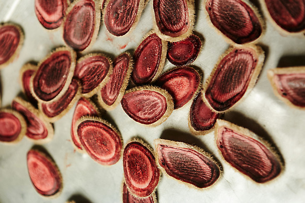 포토 JPG 실내 사람없음 한약재 슬라이스 사슴뿔 녹용 축산자조금연합 신선에너지우리축산 국내포토 캠페인 뿔 내부 약재 동맹 파일형식