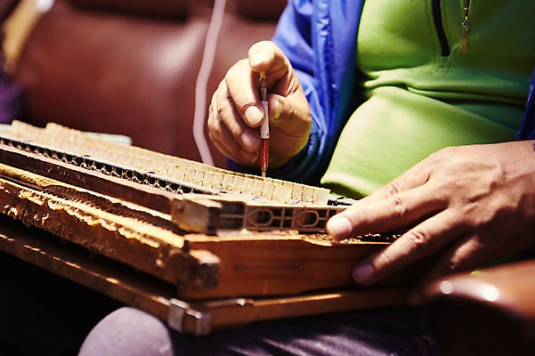 포토 JPG 손 한명 사람 상반신 성인 양손 작업 양봉 양봉장 축산자조금연합 신선에너지우리축산 이충작업 국내포토 1 캠페인 신체부위 동맹 파일형식