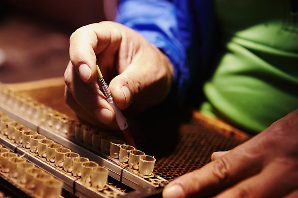 포토 JPG 손 한명 성인 신체부위 양손 작업 양봉 양봉장 축산자조금연합 신선에너지우리축산 이충작업 국내포토 1 캠페인 사람 동맹 파일형식