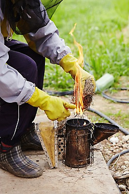 포토 JPG 주간 한명 사람 성인 야외 하반신 작업 고무장갑 분무 양봉 양봉장 축산자조금연합 신선에너지우리축산 국내포토 자연요소 1 캠페인 장갑 고무 동맹 파일형식