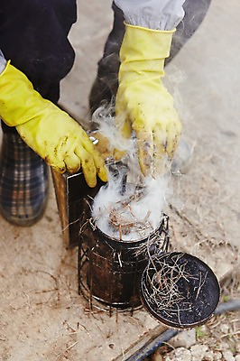 포토 JPG 주간 한명 사람 성인 야외 하반신 작업 고무장갑 분무 양봉 양봉장 축산자조금연합 신선에너지우리축산 국내포토 자연요소 1 캠페인 장갑 고무 동맹 파일형식