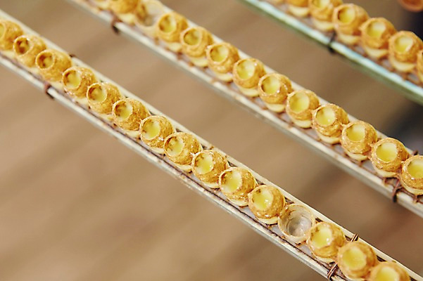 포토 JPG 사람없음 수집 꿀 꿀채취 양봉 양봉장 축산자조금연합 신선에너지우리축산 국내포토 캠페인 동맹 파일형식