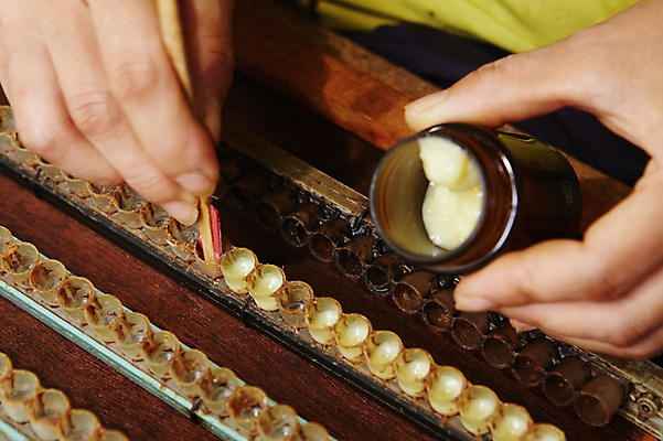 포토 JPG 손 한명 성인 신체부위 양손 수집 꿀 꿀채취 양봉 양봉장 축산자조금연합 신선에너지우리축산 국내포토 1 캠페인 사람 동맹 파일형식