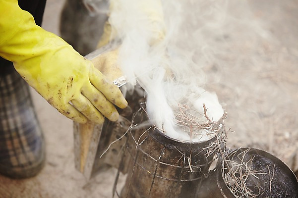 포토 JPG 주간 손 한손 한명 성인 야외 신체부위 고무장갑 분무 양봉 양봉장 축산자조금연합 신선에너지우리축산 국내포토 자연요소 1 캠페인 장갑 사람 고무 동맹 파일형식