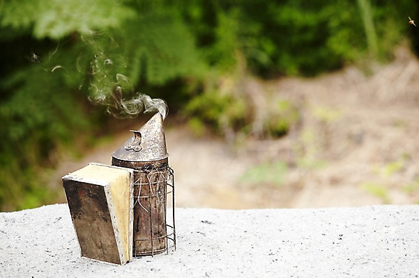 포토 JPG 주간 사람없음 야외 아웃포커스 분무 양봉 양봉장 축산자조금연합 신선에너지우리축산 국내포토 자연요소 캠페인 촬영기법 동맹 파일형식