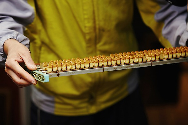 포토 JPG 한명 들기 사람 상반신 성인 앞모습 수집 꿀 꿀채취 양봉 양봉장 축산자조금연합 신선에너지우리축산 국내포토 1 캠페인 뷰포인트 모션 동맹 파일형식