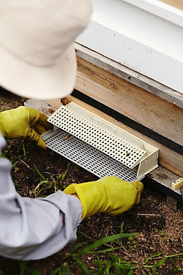 포토 JPG 한명 사람 상반신 성인 잡기 나무상자 수집 고무장갑 꿀 꿀채취 양봉 양봉장 축산자조금연합 신선에너지우리축산 국내포토 1 캠페인 장갑 모션 상자 고무 동맹 파일형식