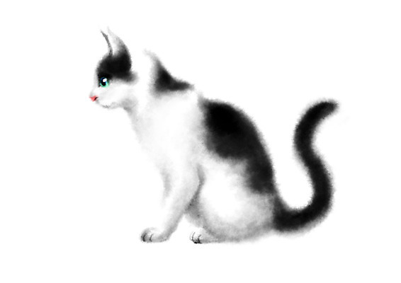 PSD 동물 한마리 일러스트 캘리그라피 앉기 사람없음 고양이 반려 국내일러스트 1 포유류 모션 반려동물 파일형식