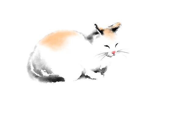 PSD 동물 한마리 엎드리기 일러스트 캘리그라피 사람없음 고양이 반려 국내일러스트 1 포유류 모션 반려동물 파일형식