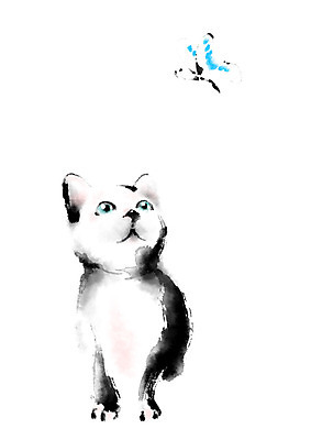 PSD 동물 나비 두마리 일러스트 캘리그라피 사람없음 고양이 반려 국내일러스트 곤충 2 포유류 반려동물 파일형식