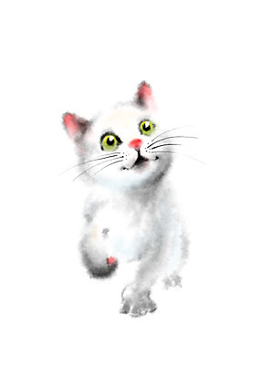 PSD 동물 한마리 일러스트 캘리그라피 사람없음 고양이 반려 국내일러스트 1 포유류 반려동물 파일형식