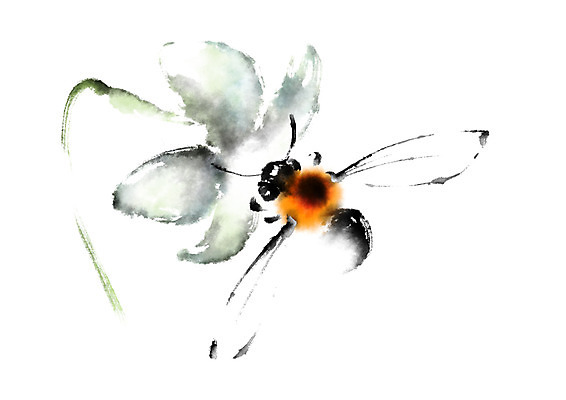 PSD 식물 동물 한마리 한송이 일러스트 캘리그라피 사람없음 개화 꿀벌 백합 벌 국내일러스트 1 꽃 곤충 벌_곤충 송이 파일형식