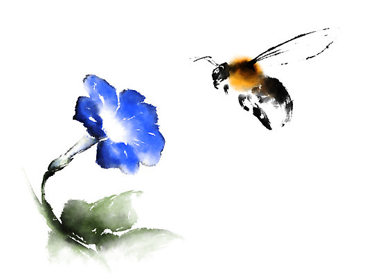 PSD 식물 동물 한마리 한송이 일러스트 캘리그라피 사람없음 개화 꿀벌 벌 나팔꽃 국내일러스트 1 꽃 곤충 벌_곤충 송이 파일형식