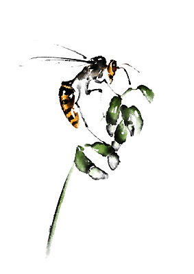 PSD 식물 동물 한마리 꽃 여러송이 일러스트 캘리그라피 사람없음 꿀벌 벌 꽃봉오리 국내일러스트 1 다수 곤충 벌_곤충 파일형식