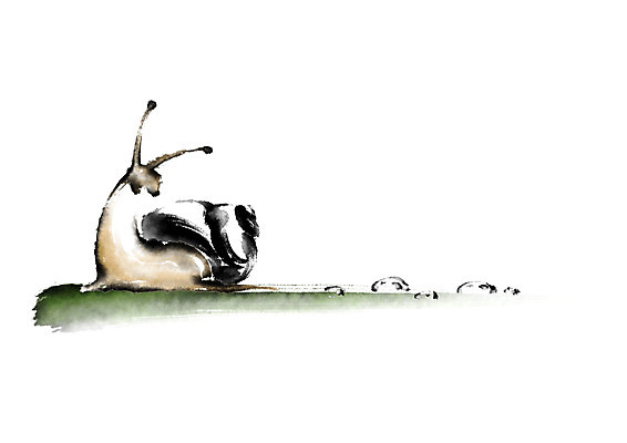 PSD 식물 동물 한마리 일러스트 캘리그라피 나뭇잎 사람없음 물방울 이슬 달팽이 국내일러스트 1 잎 연체동물 파일형식