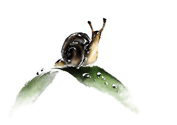 PSD 식물 동물 한마리 일러스트 캘리그라피 나뭇잎 사람없음 물방울 이슬 달팽이 국내일러스트 1 잎 연체동물 파일형식