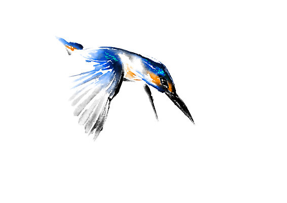 PSD 동물 한마리 일러스트 캘리그라피 조류 사람없음 비행 물총새 국내일러스트 1 파일형식