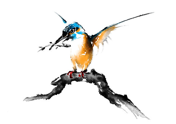 PSD 식물 동물 두마리 일러스트 캘리그라피 조류 어류 사람없음 나뭇가지 먹이 먹기 물총새 국내일러스트 나무 2 모션 수중동물 파일형식