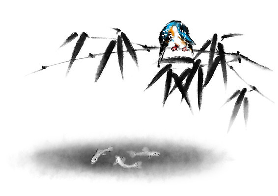 PSD 식물 동물 호수 여러마리 일러스트 캘리그라피 조류 어류 사람없음 나뭇가지 연못 물총새 국내일러스트 나무 다수 수중동물 파일형식