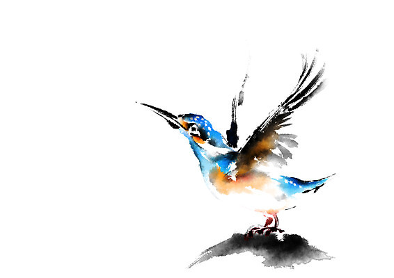 PSD 식물 동물 한마리 일러스트 캘리그라피 조류 사람없음 나뭇가지 물총새 국내일러스트 나무 1 파일형식