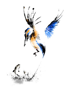 PSD 동물 두마리 일러스트 캘리그라피 조류 어류 사람없음 비행 먹이 물총새 국내일러스트 2 수중동물 파일형식