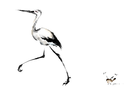 PSD 동물 두마리 일러스트 캘리그라피 조류 사람없음 걷기 학 참새 국내일러스트 2 모션 파일형식