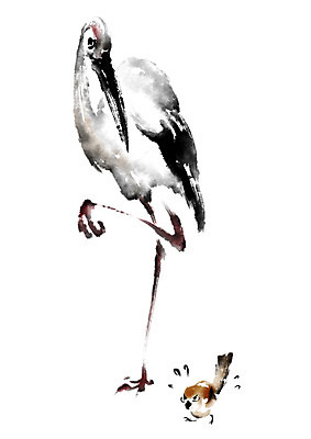 PSD 동물 두마리 일러스트 캘리그라피 조류 사람없음 걷기 학 참새 국내일러스트 2 모션 파일형식