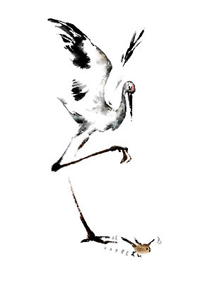 PSD 동물 두마리 일러스트 캘리그라피 조류 사람없음 걷기 학 참새 국내일러스트 2 모션 파일형식