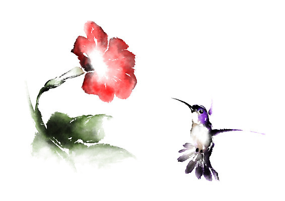 PSD 식물 동물 한마리 꽃 한송이 일러스트 캘리그라피 조류 사람없음 개화 나팔꽃 벌새 국내일러스트 1 송이 파일형식