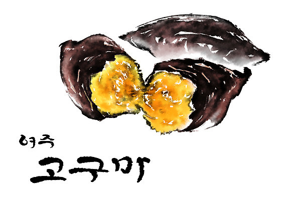 PSD 음식 일러스트 캘리그라피 뿌리채소 사람없음 농작물 특산물 고구마 국내일러스트 여주시 농업 채소 경기도 파일형식