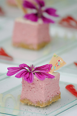 포토 JPG 해외이미지 접시 열매 꽃 음식 조각 백그라운드 과일 부분 딸기 디저트 치즈 종류 사람없음 빨간색 케이크 초콜릿 어둠 기쁨 신선 우아함 달콤 맛 유혹 자르기 굽기 먹기 크림 슬라이스 산딸기 부드러움 모음 페스츄리 많음 해외202004 해외포토 식물 식기 감정 빵 컬러 컨셉 모션 유제품 한글 감각 구이 파일형식 이미지허브