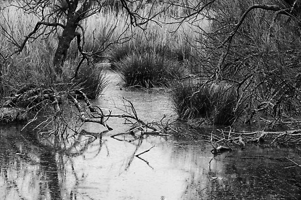포토 JPG 해외이미지 나무 식물 공원 꽃 호수 여행 백그라운드 단풍 잎 캐나다 오렌지 자연 하늘 풍경 사람없음 야외 빨간색 초록색 물 여름 강 햇빛 태양 반사 노란색 평화 환경 맑음 침묵 봄 폭포 흐름 가을 연못 개울 보호 숲 언덕 10월 프랑스어 오메가 해외202004 해외포토 자연요소 문자 계절 공공시설 컬러 컨셉 북아메리카 과일 날씨 소리 날짜 생태계 파일형식 이미지허브