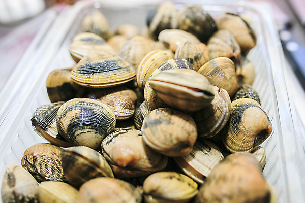 포토 JPG 해외이미지 동물 접시 음식 바다 백그라운드 자연 조개 연체동물 건강 요리 동양인 사람없음 쌓기 식사 껍질 흰색 신선 서핑 시장 닫기 해산물 날것 점심식사 고립 해외202004 해외포토 식기 컬러 모션 어패류 무척추동물 인종 수상스포츠 생태계 파일형식 이미지허브